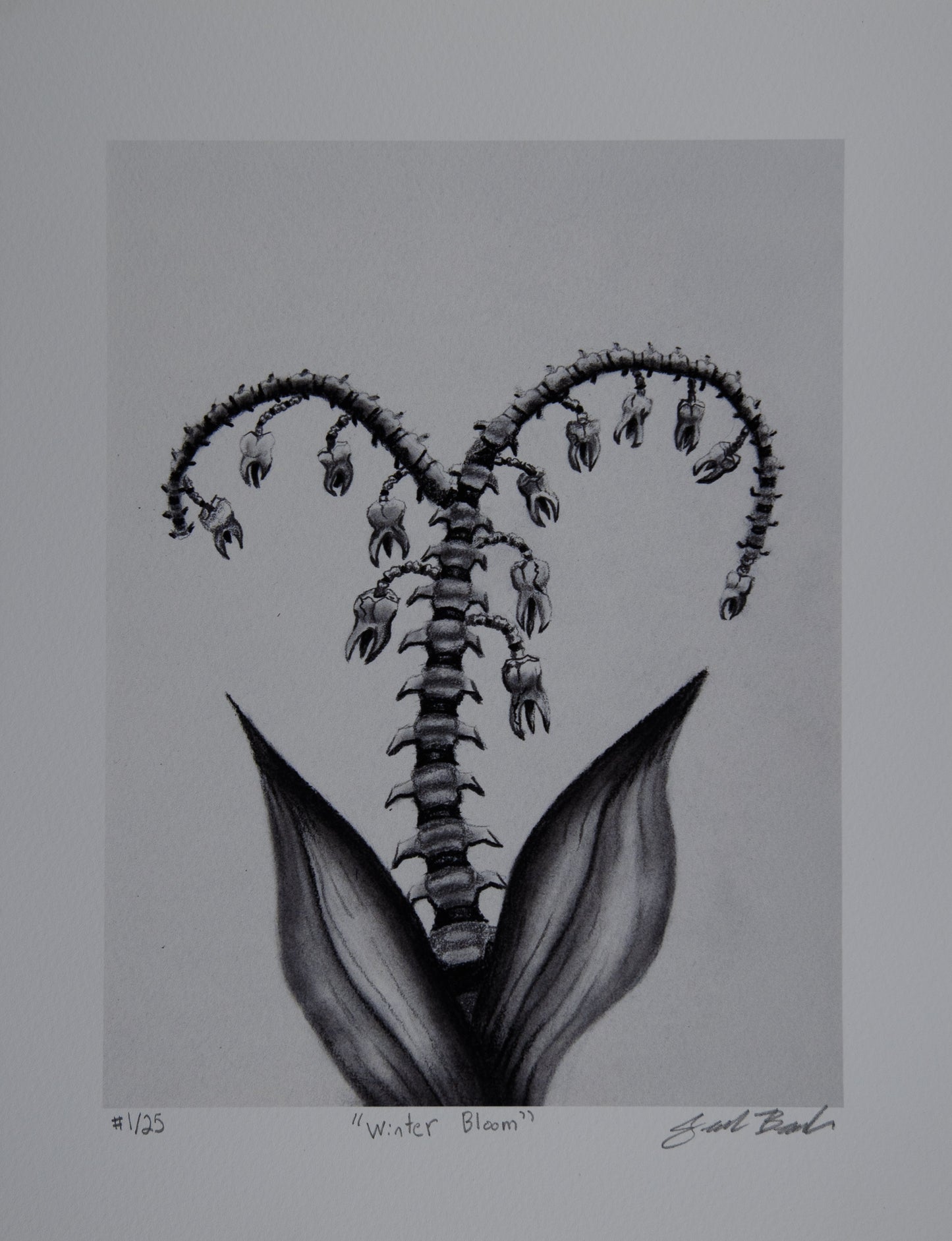 "Winter Bloom" Limited Edition Print