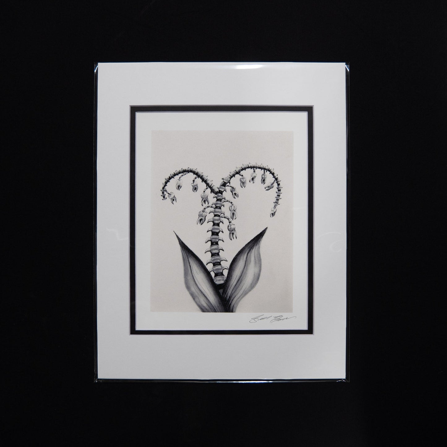 "Winter Bloom" Print