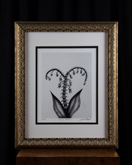 "Winter Bloom" Limited Edition Print