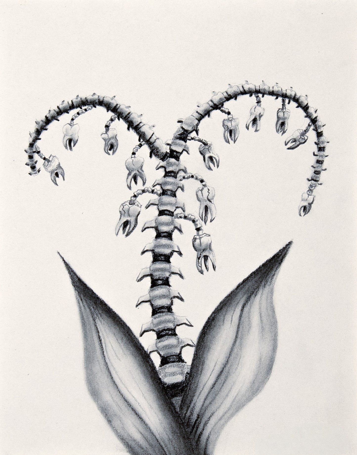 "Winter Bloom" Print