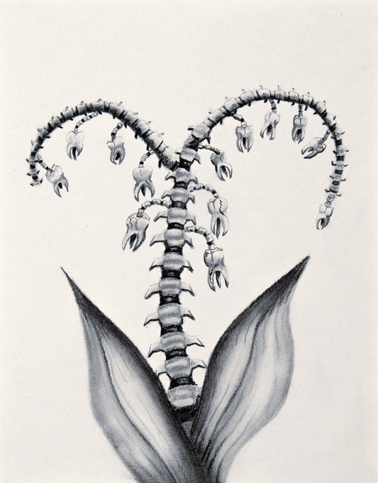 "Winter Bloom" Print